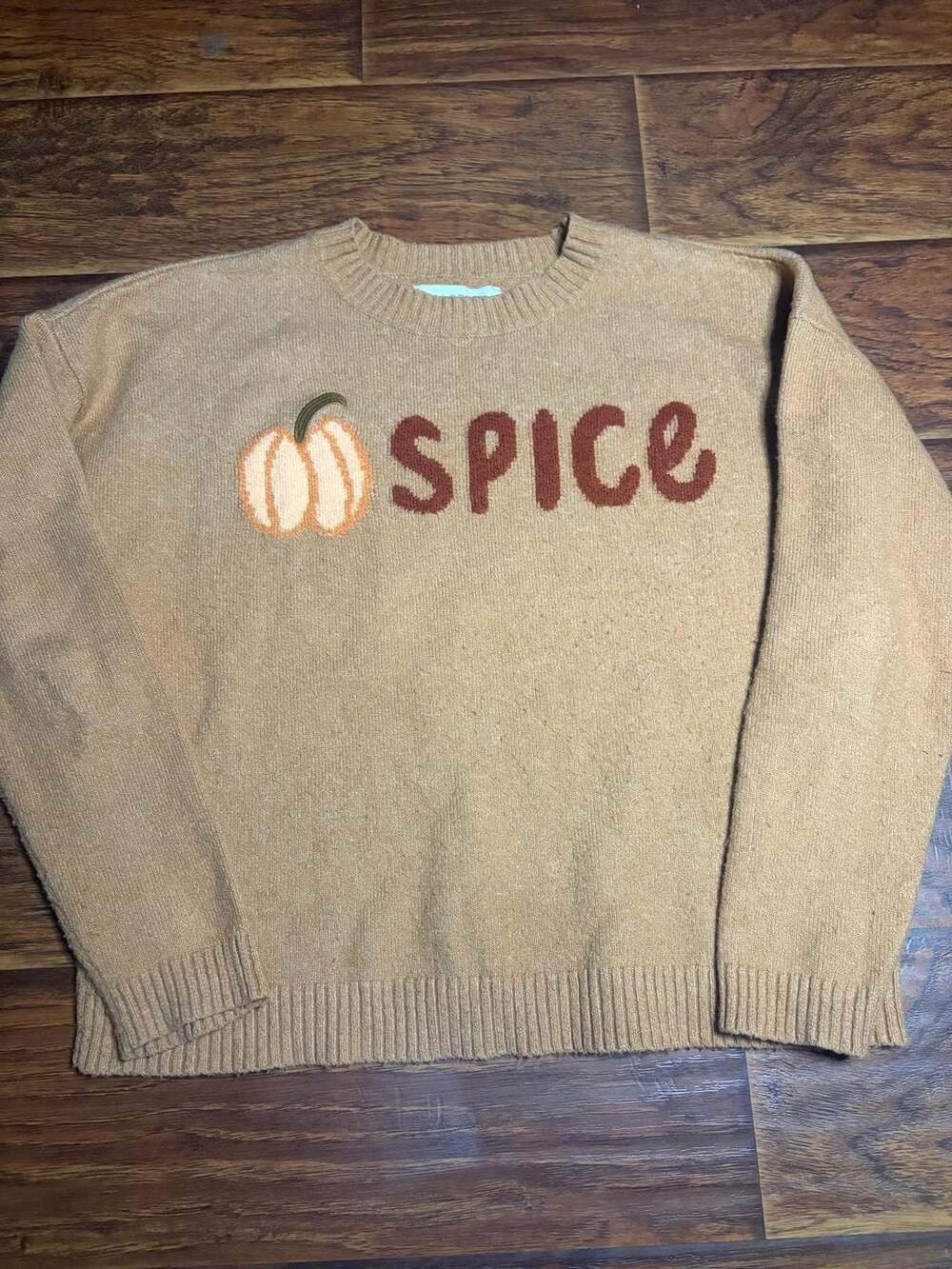 LOFT Pumpkin Spice Intarsia Crew Neck Sweater Size M Brown Fall
